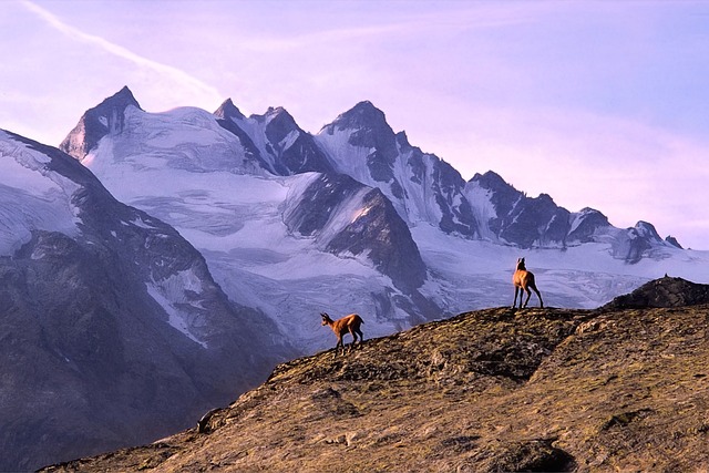Gdzie na trekking w Europie? Gdzie na trekking w Europie?