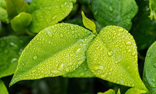 Czy w domach w Wenecji jest wilgoć?